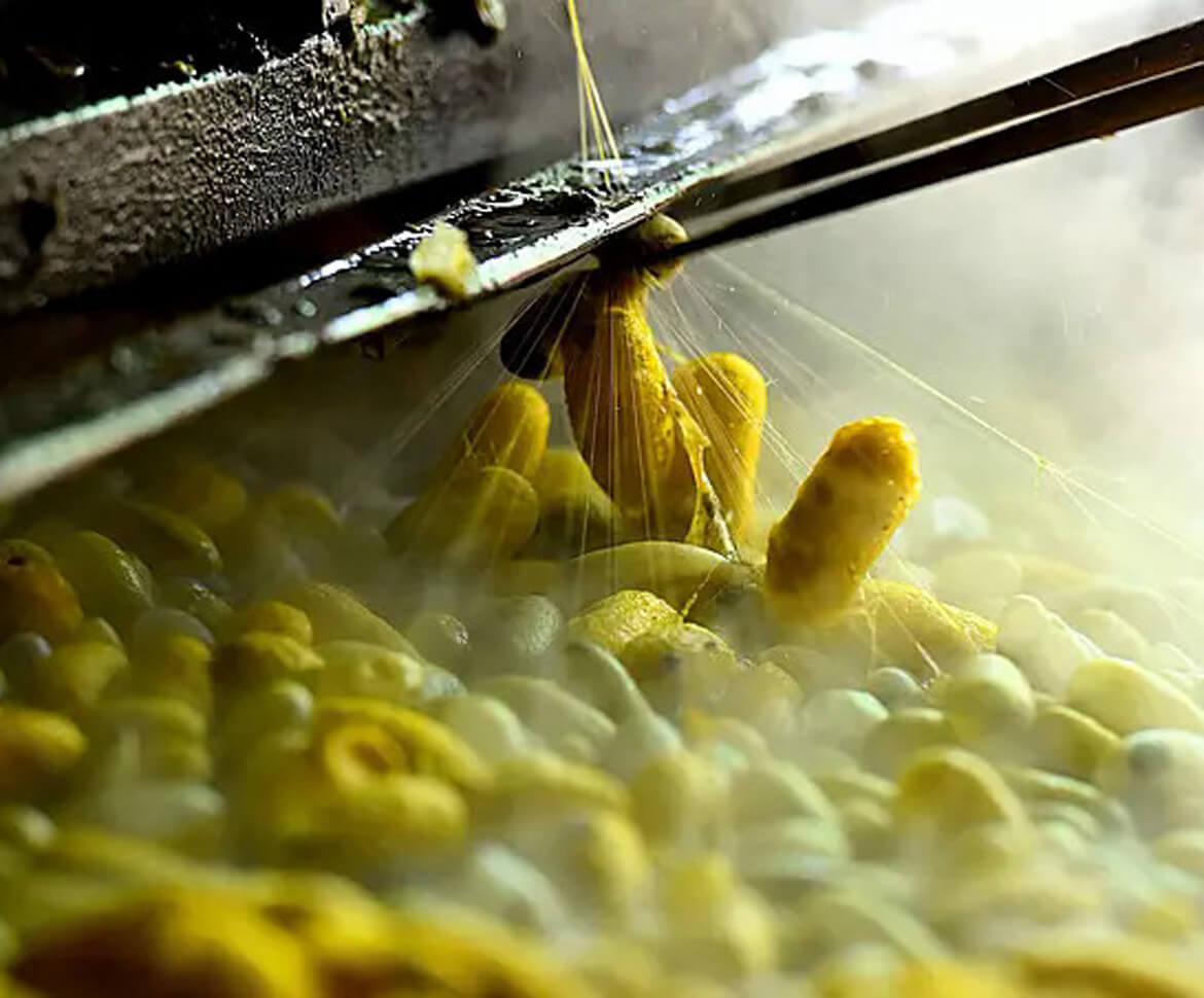 Silkworm cocoons are put into boiling water before silk fiber is unwound from them.